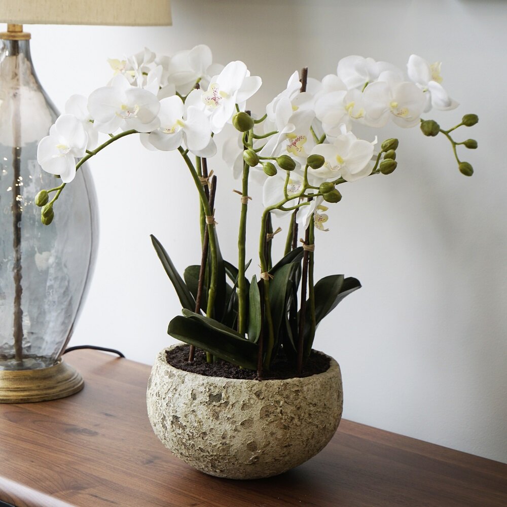 Orchid Arrangement in Stone Pot