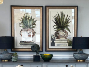 Set of 2 Framed Aloe Pictures