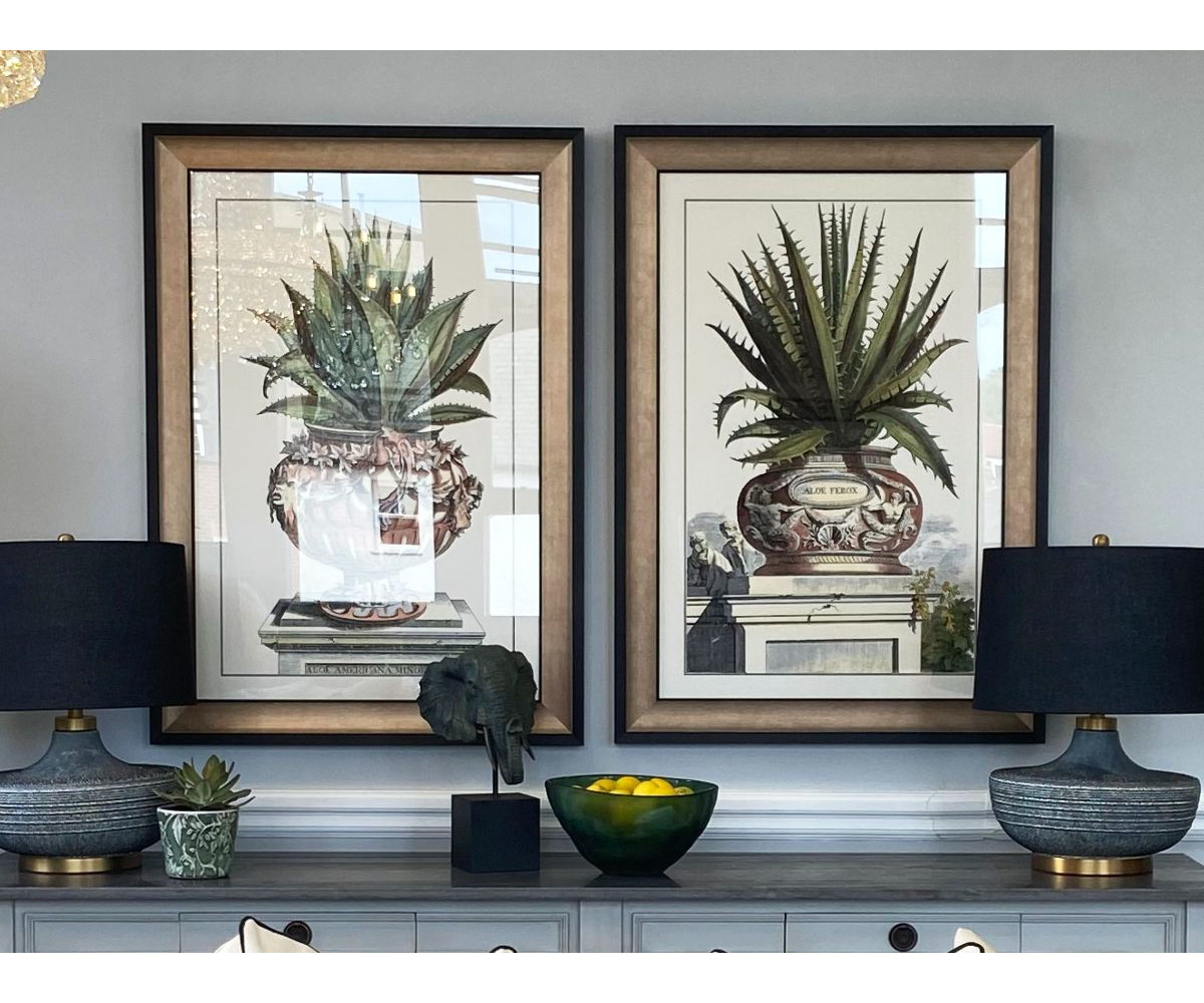 Set of 2 Framed Aloe Pictures