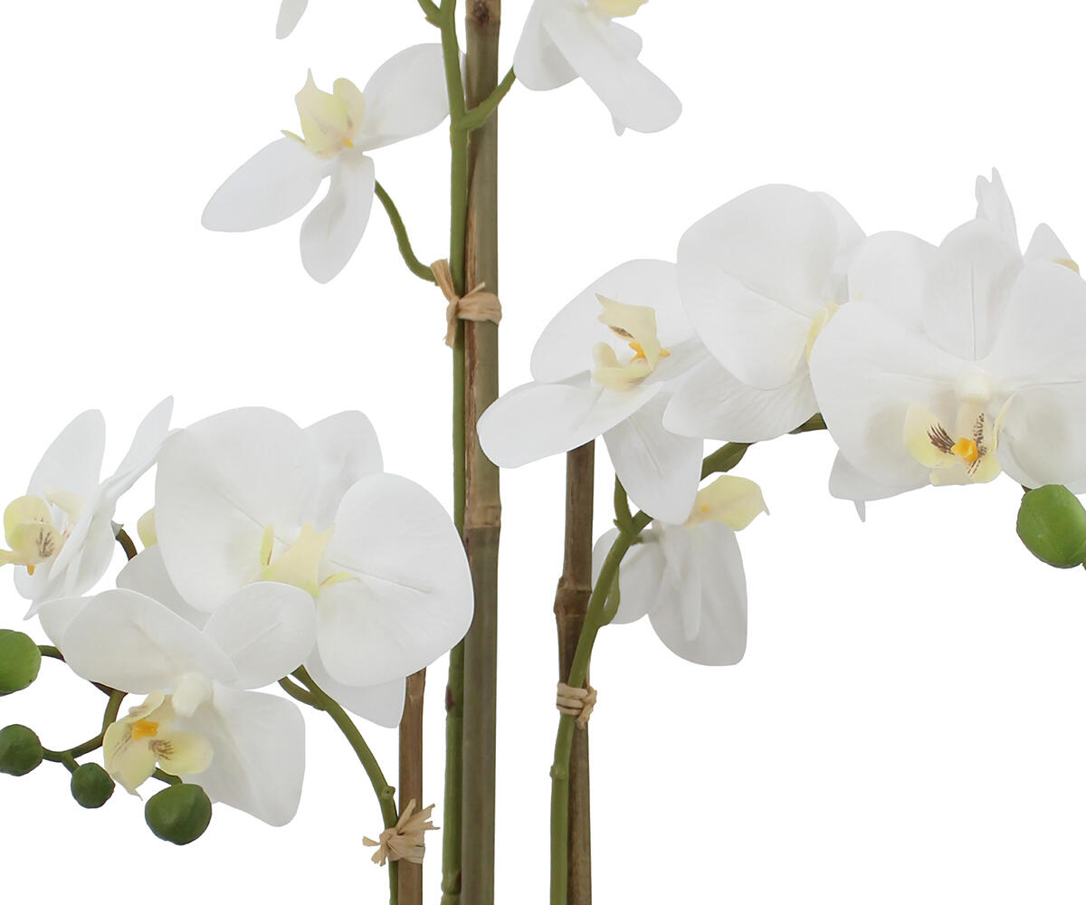 19010391 WH3001 Web 3