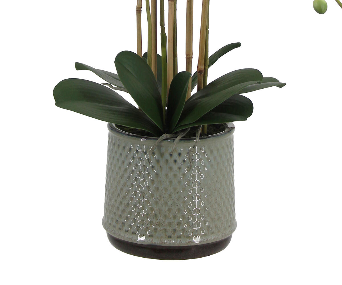 22010019 WH3001 Web 2