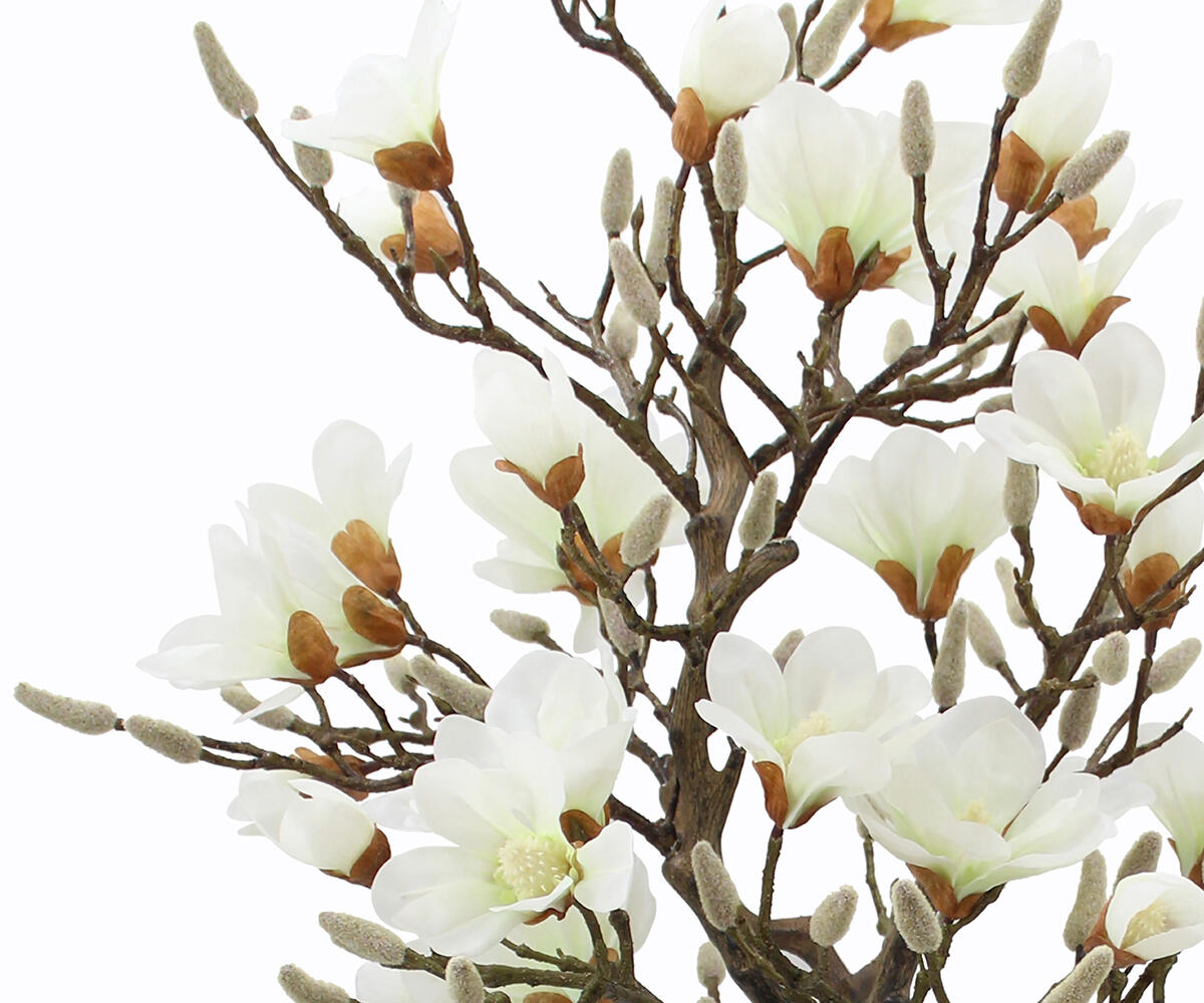 23060002 WH4031 Web 3