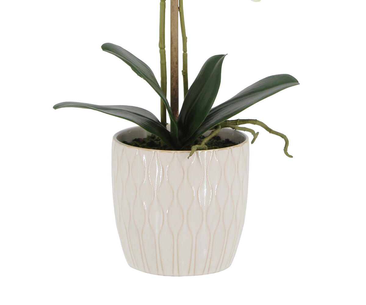 24010059 WH3001 Web 2