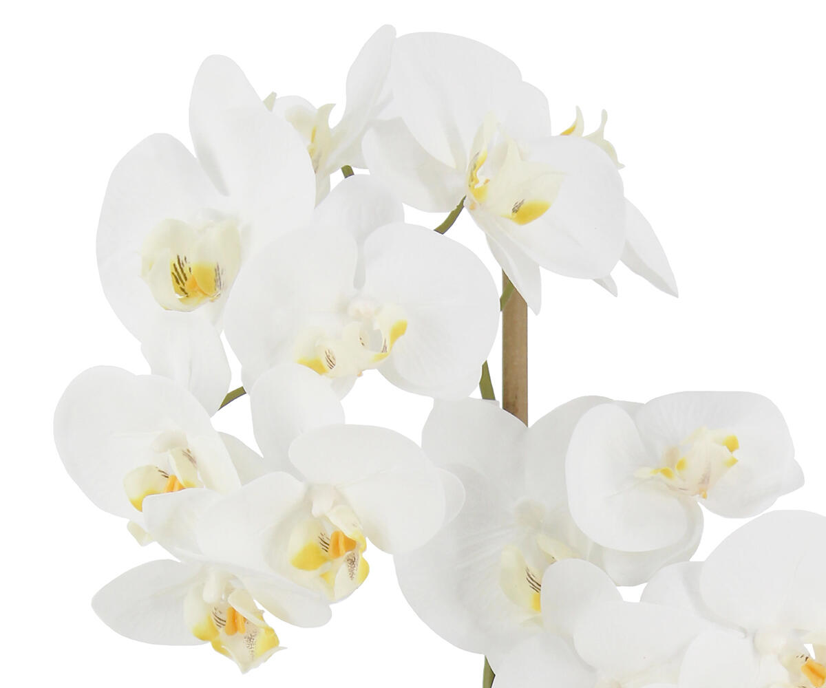 24010059 WH3001 Web 3