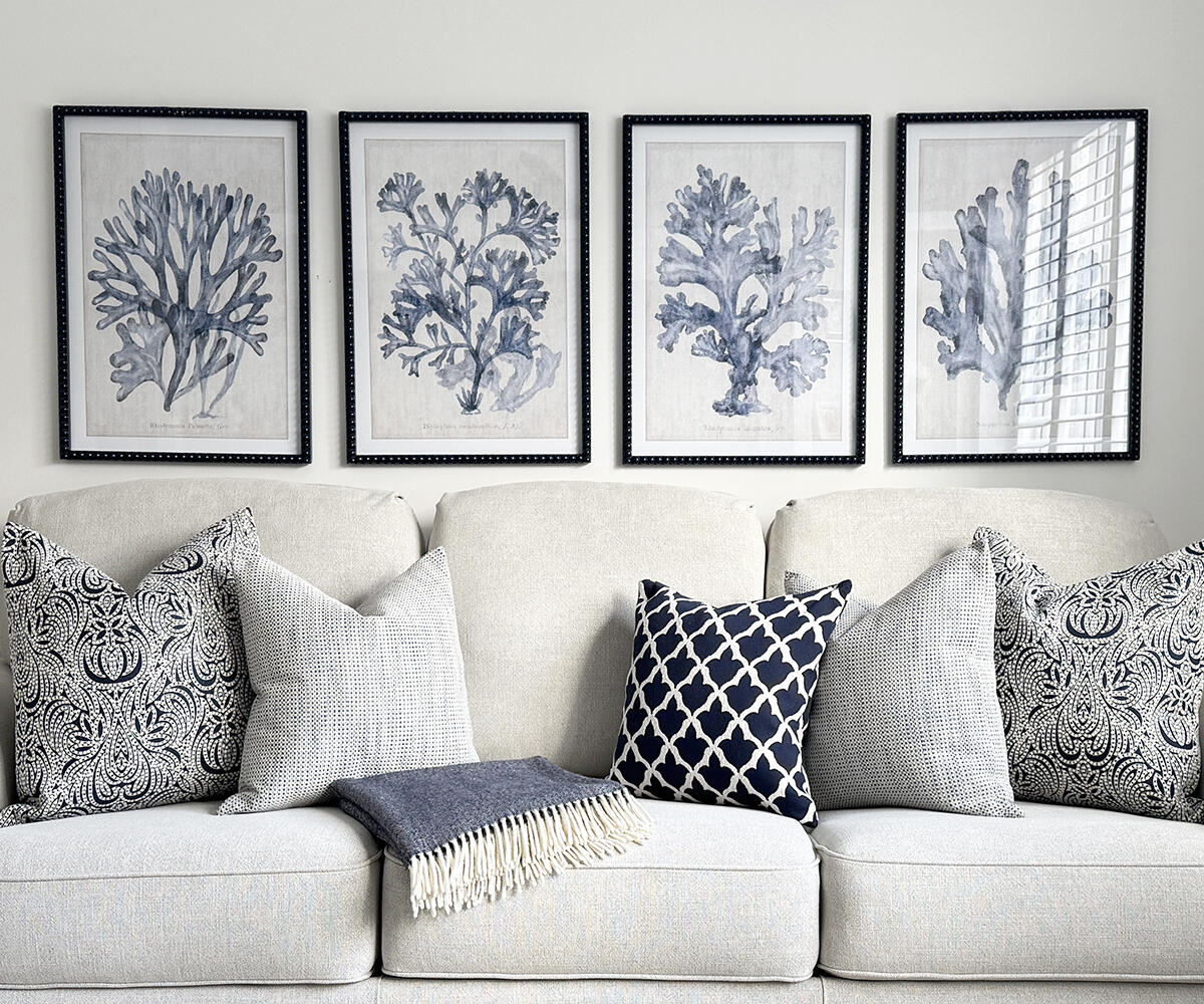 Set of 4 Framed St Barts Corals