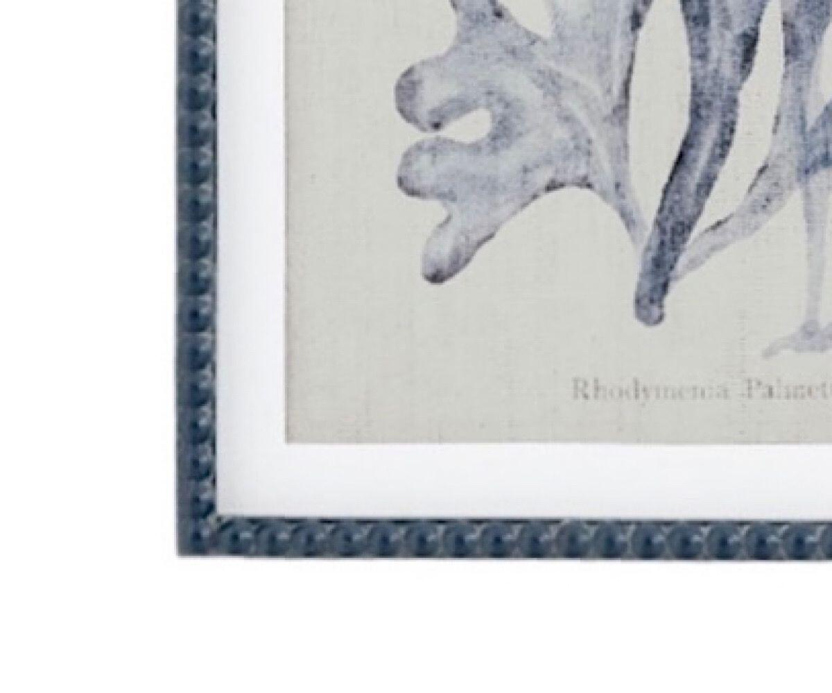 NSJF2402 - A frame WEB