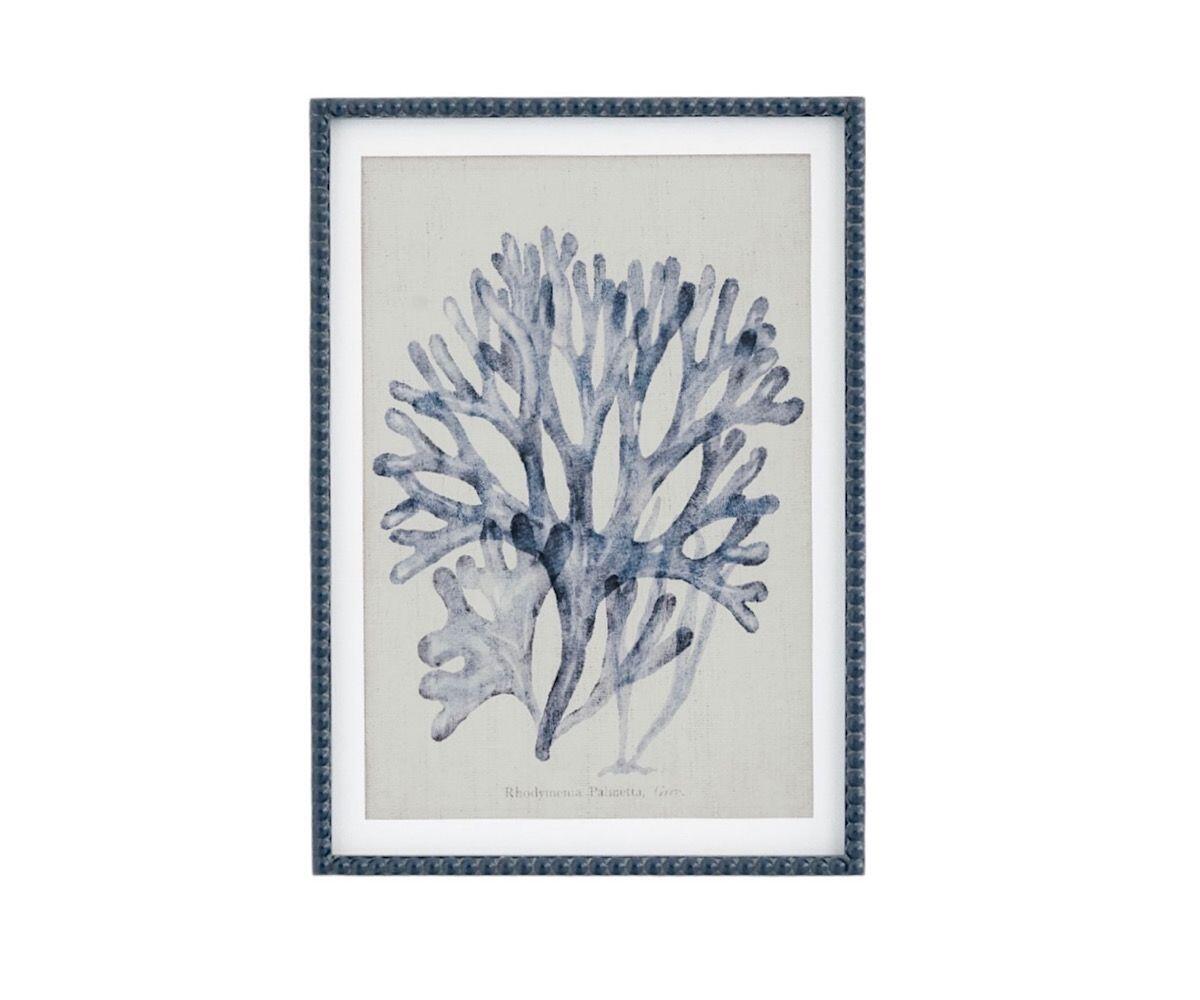 NSJF2402 - C cut out WEB