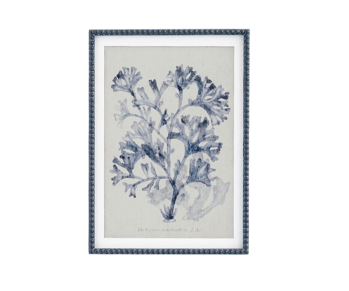 NSJF2402-b cut out WEB