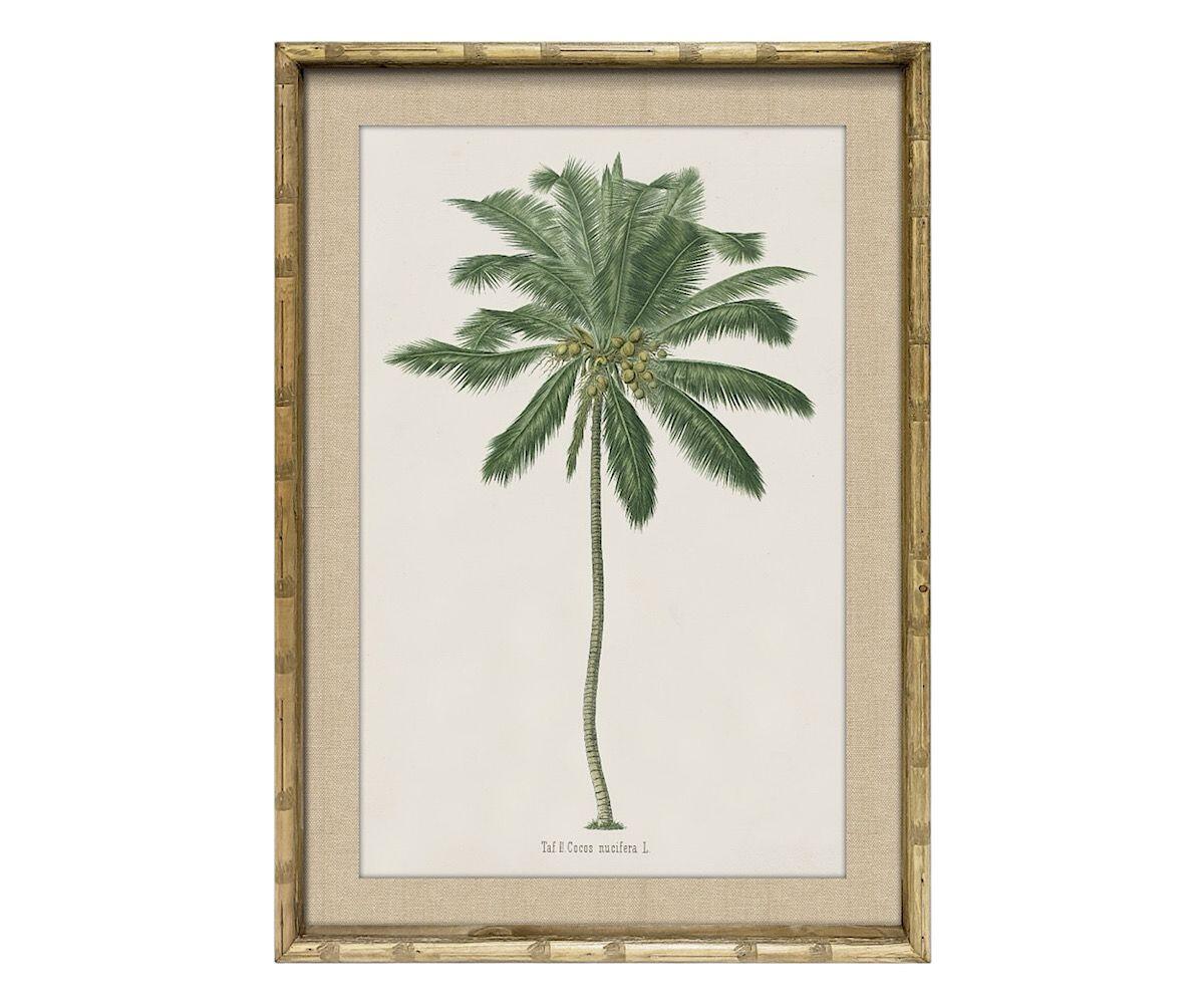 NSJF2403 A Cut out WEB