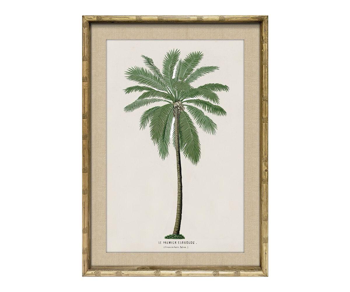 NSJF2403 B cut out WEB