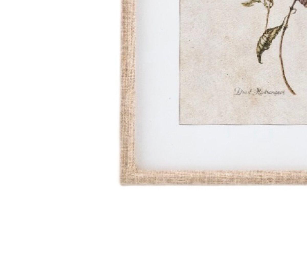 NSJF2404 - B Frame Web