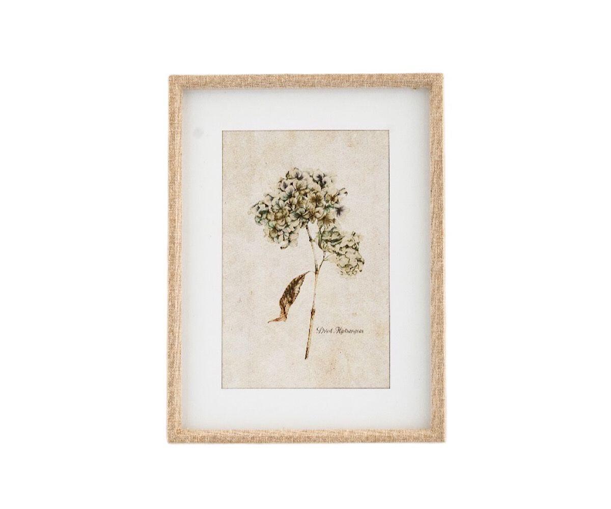 NSJF2404 - B cut out WEB