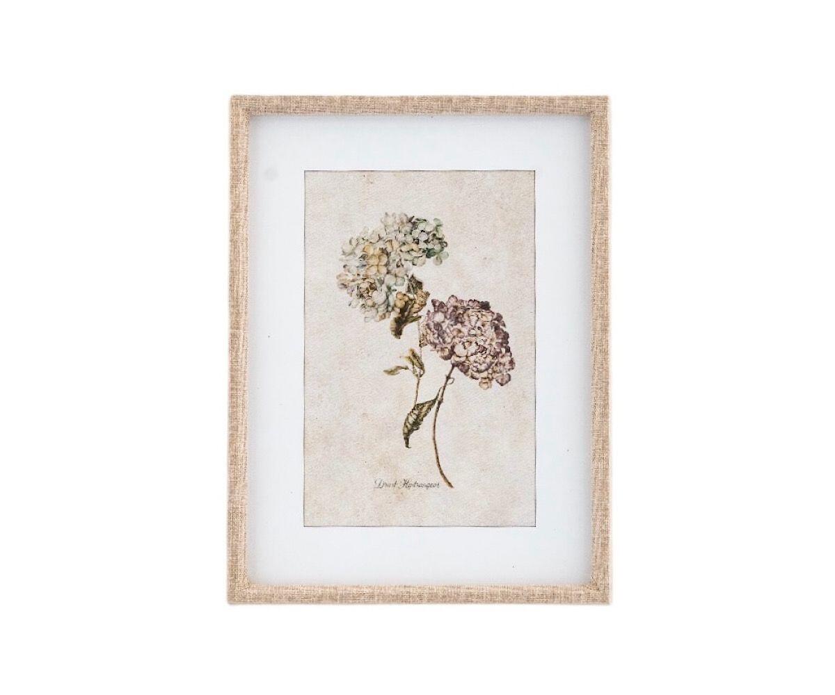 NSJF2404 - C cut out WEB