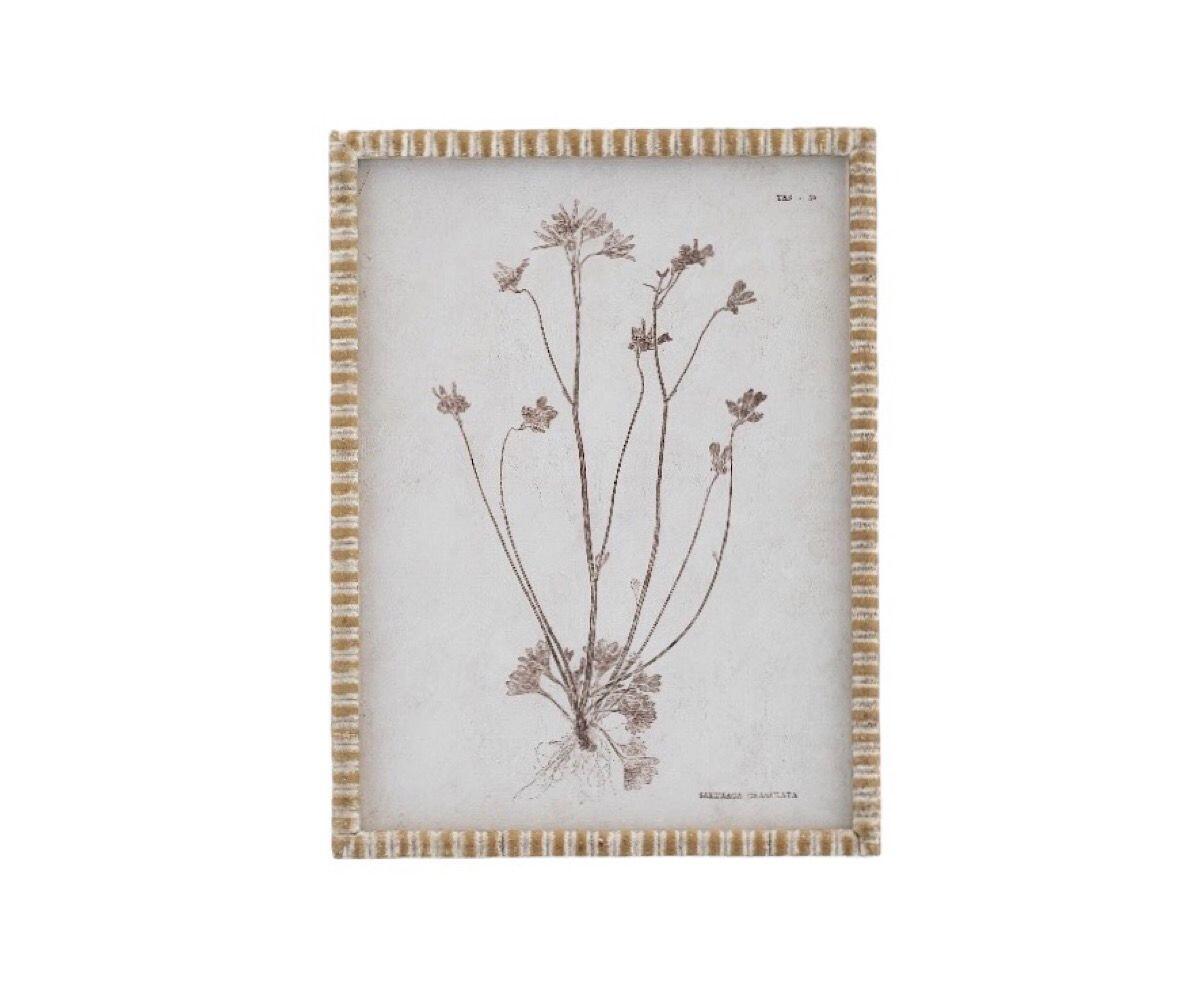 NSJF2405 - A cut out WEB