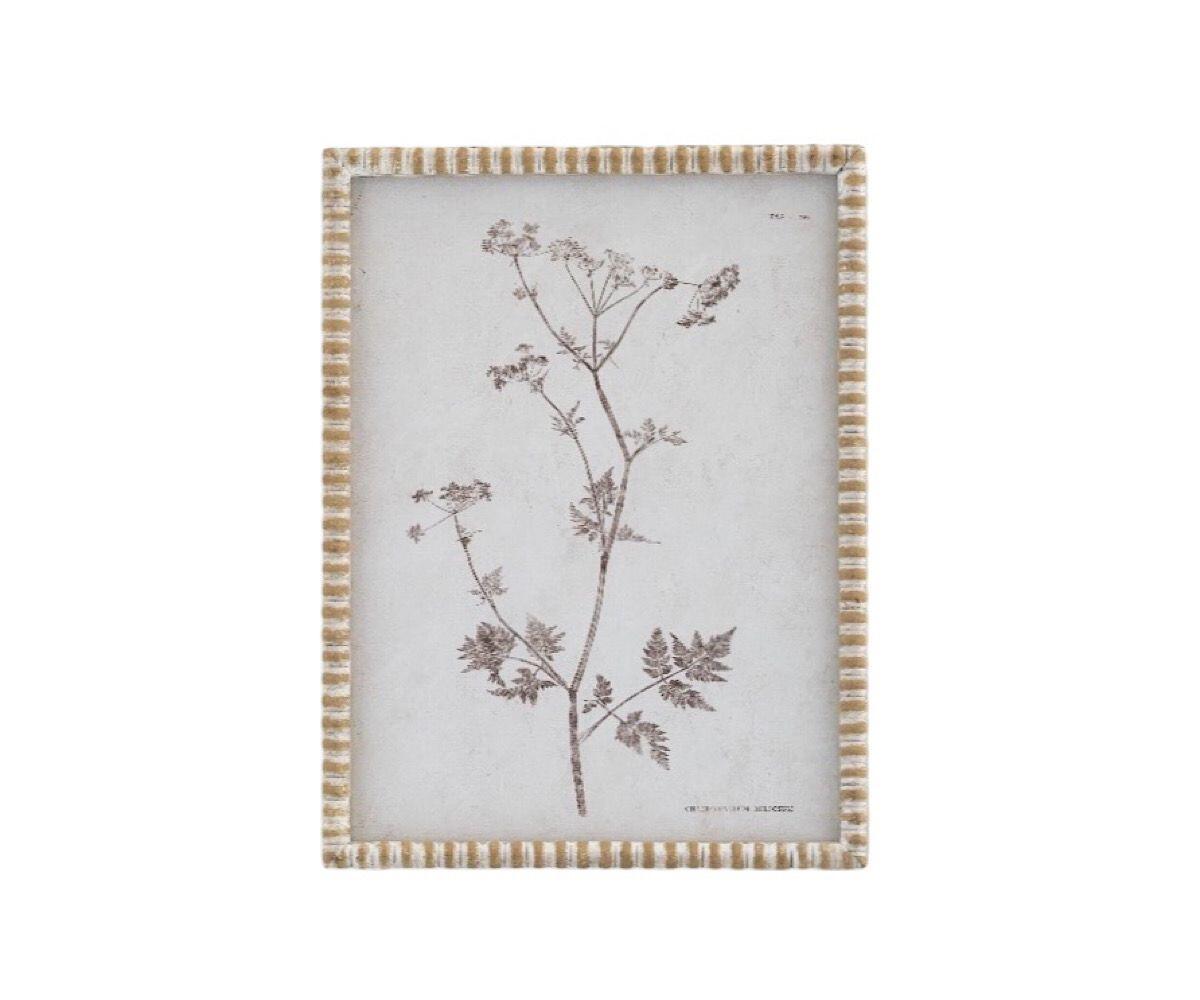 NSJF2405 - C cut out WEB