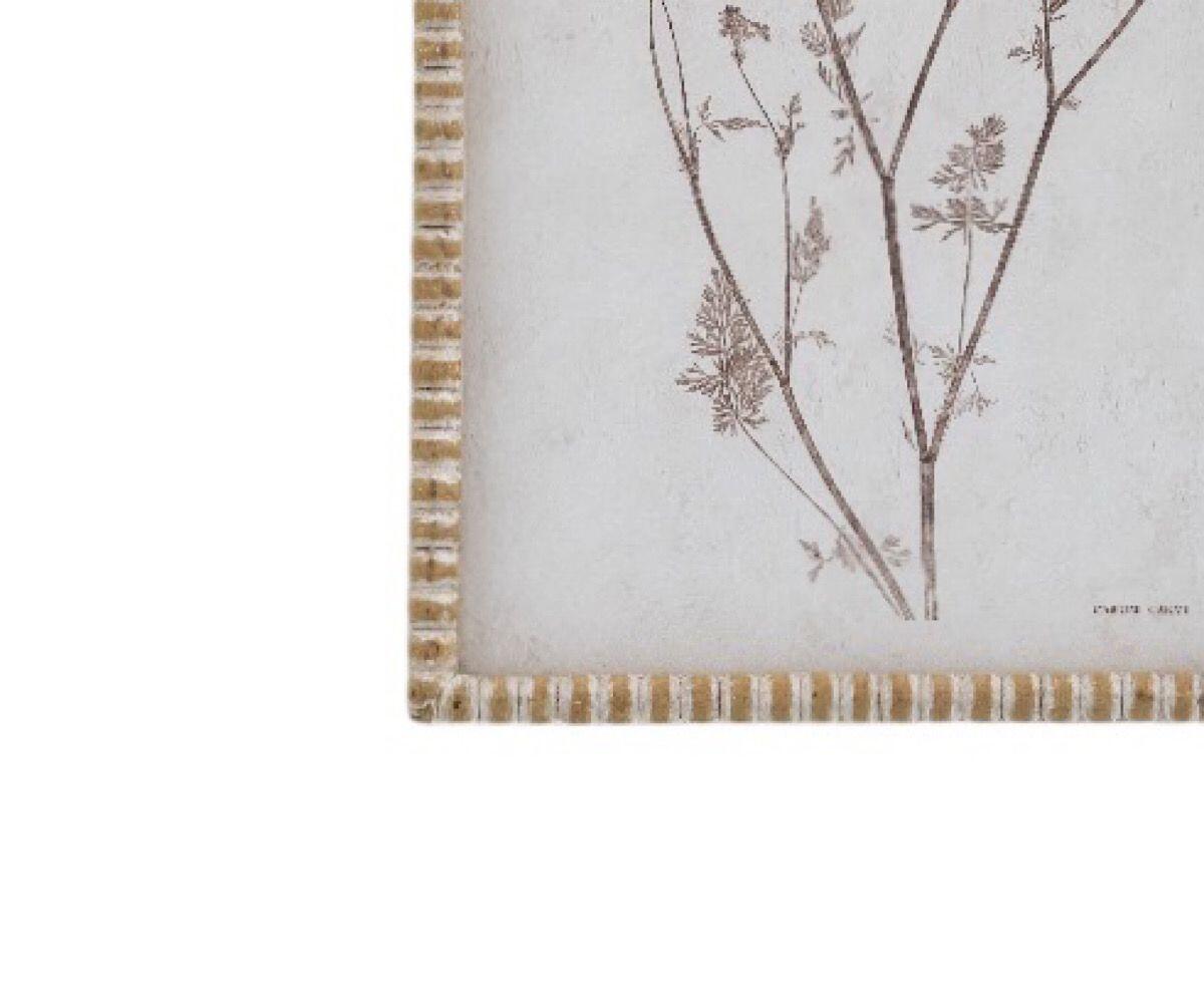 NSJF2405 - E Frame WEB