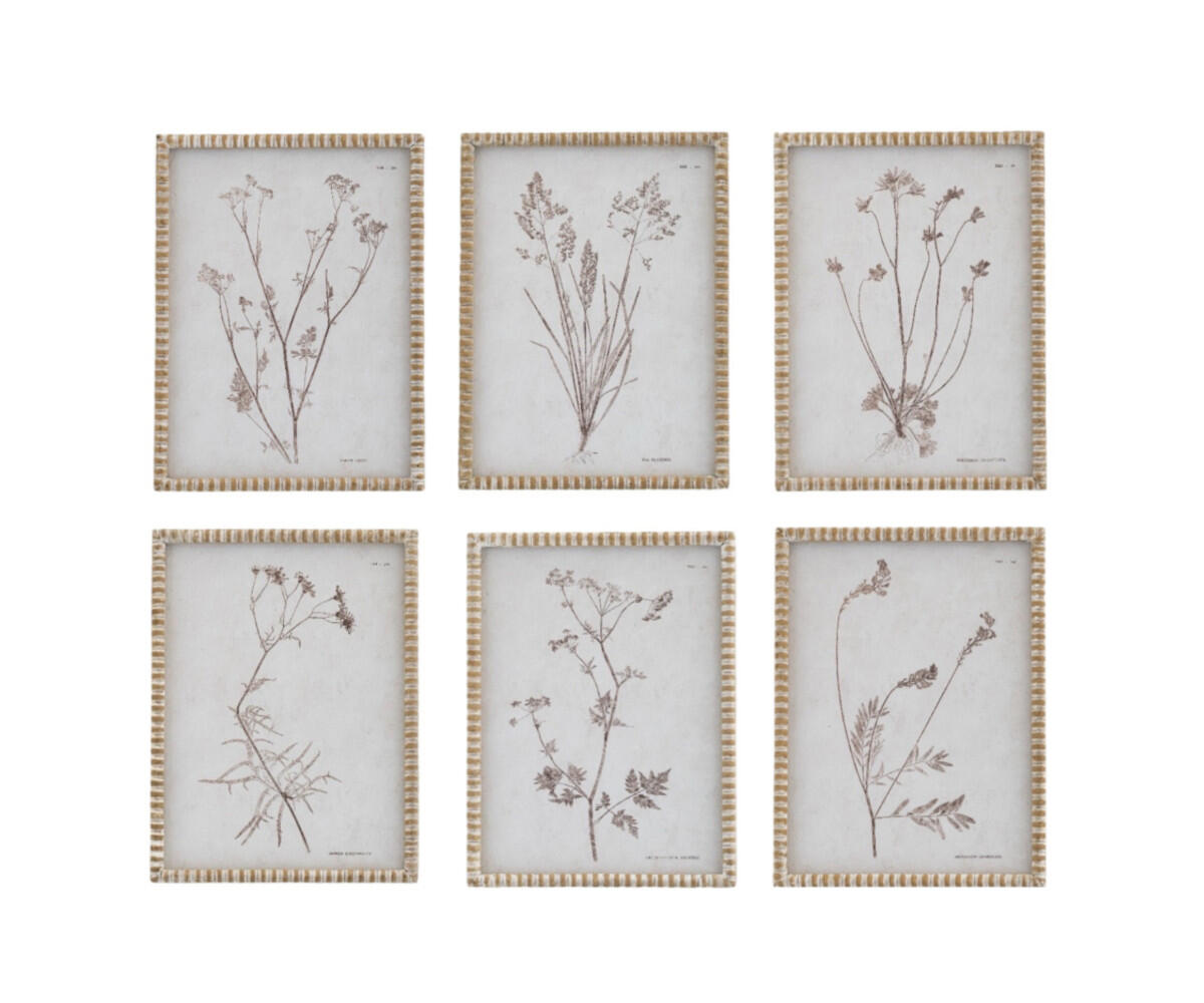 NSJF2405-framed botanical set WEB