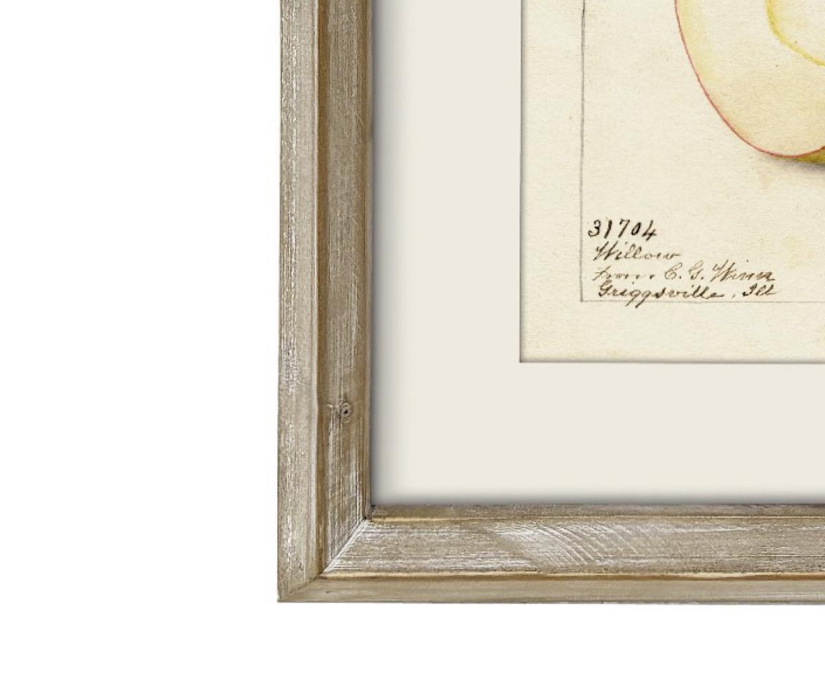 NSJF2406 - C Frame WEB