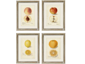 Set of 4 Framed Sicilian Sweetness Prints