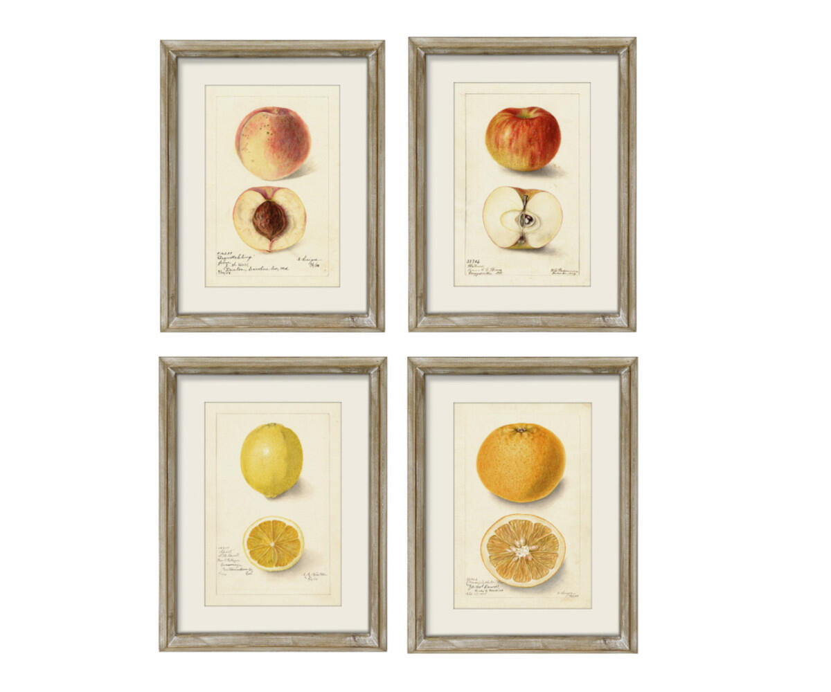 Set of 4 Framed Sicilian Sweetness Prints