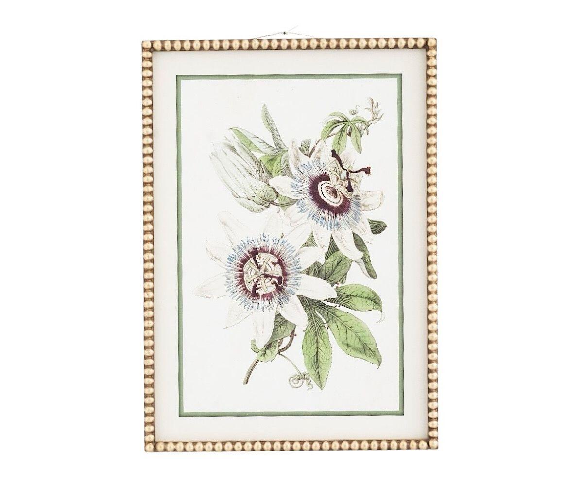 NSJF2408 - A Cut out WEB