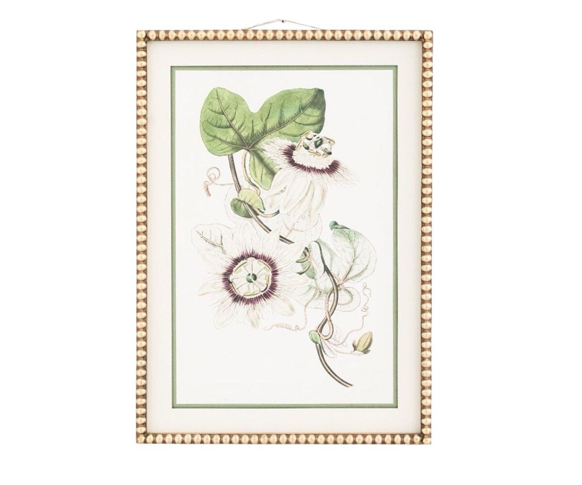 NSJF2408 - B Cut out WEB