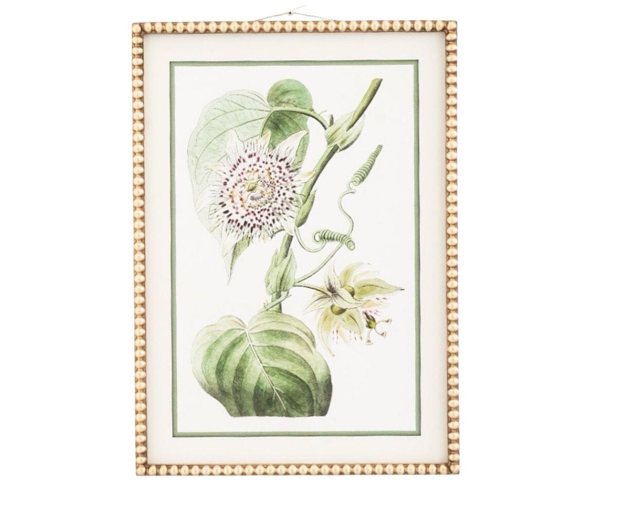 NSJF2408 - C Cut out WEB