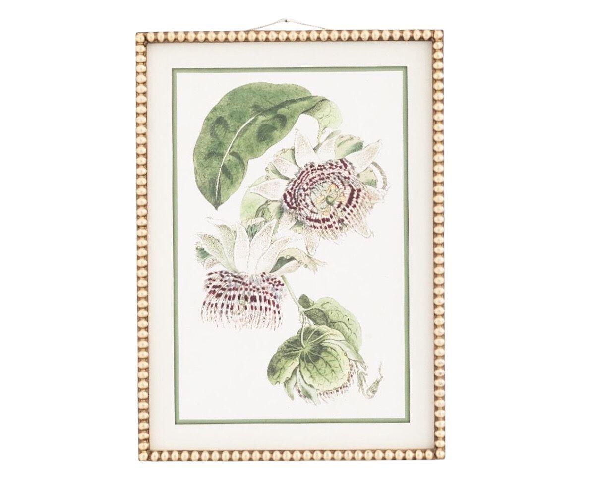 NSJF2408 - D Cut out WEB