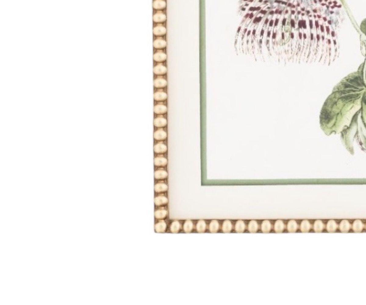 NSJF2408 - D Frame WEB