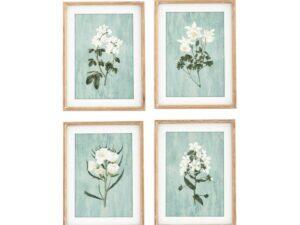 Set of 4 Framed Wild Blooms