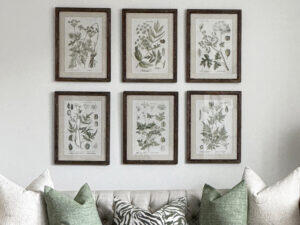Set of 6 Framed Botanical Studies