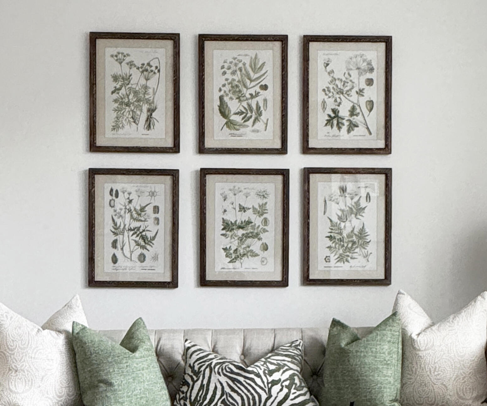 Set of 6 Framed Botanical Studies