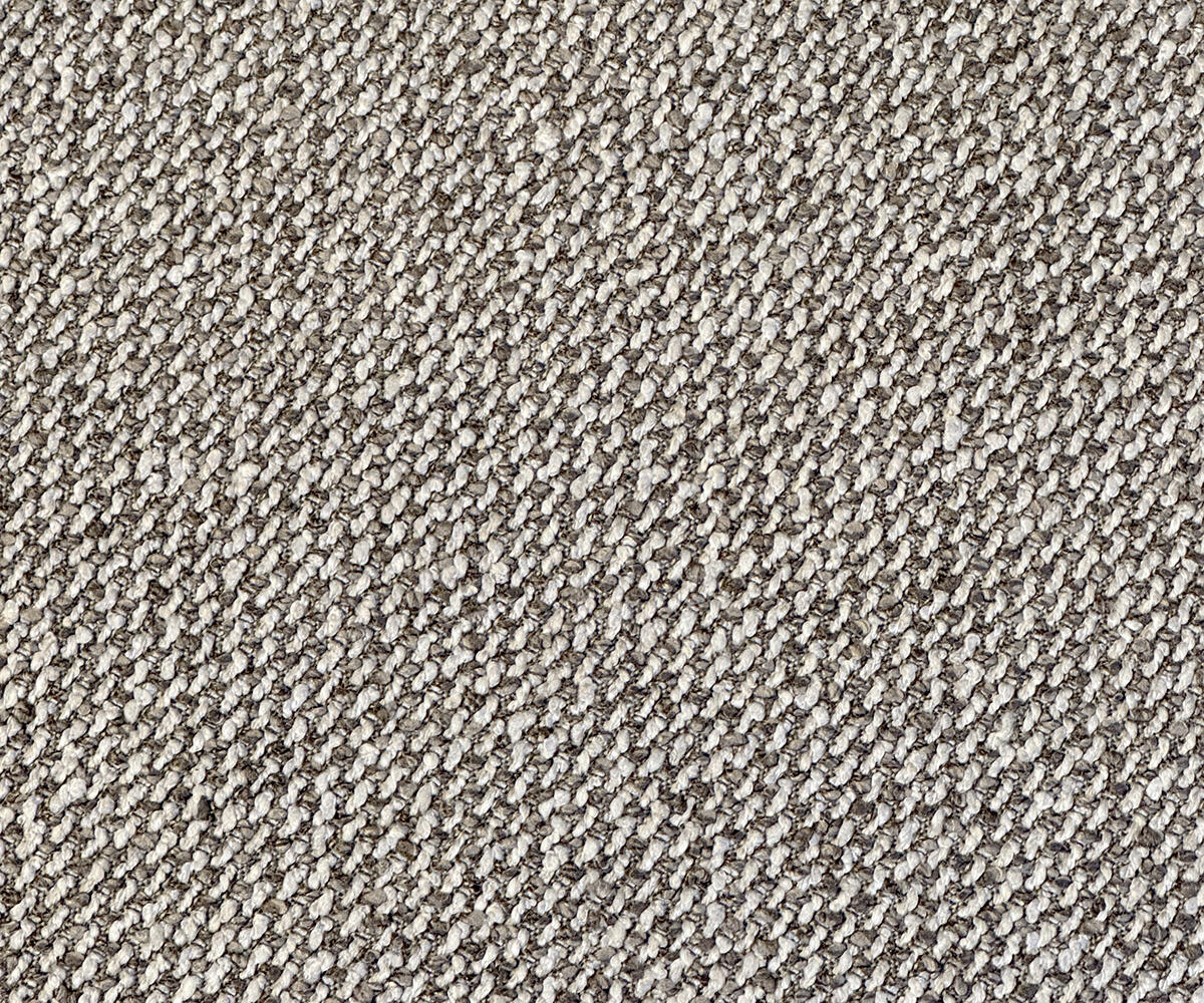 Photo 22-01-2025, 09 16 08 Web