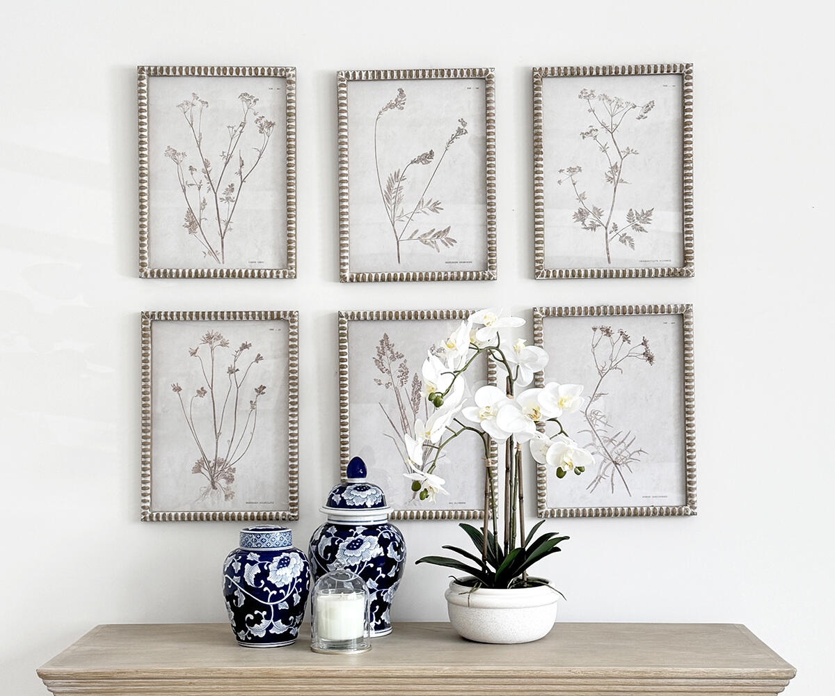 Set of 6 Framed Botanical Prints