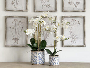 Large Real Touch Orchid in Blue and White Pot