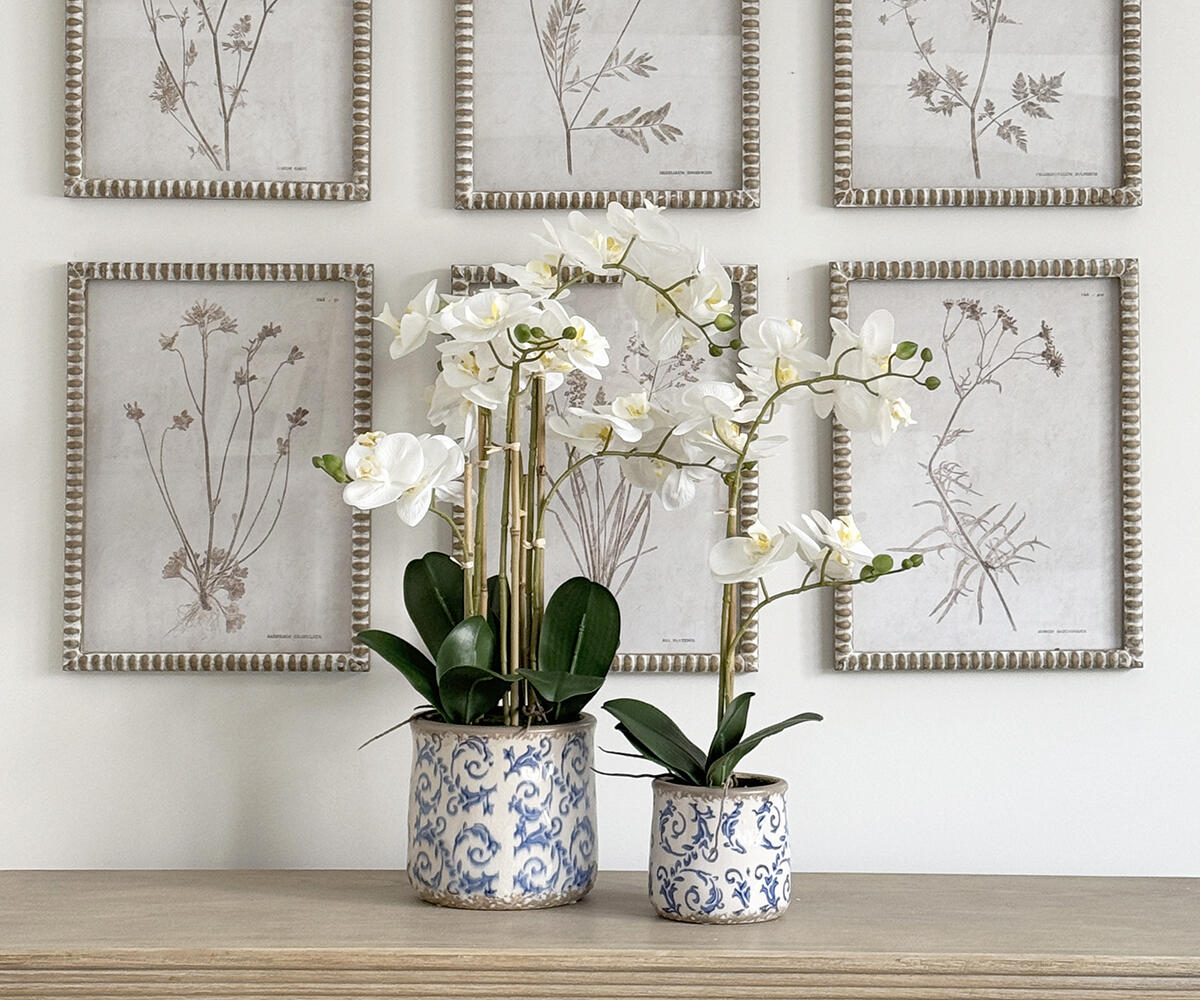 Medium Real Touch Orchid in Blue and White Pot