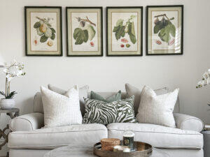 Set of 4 Framed Figs