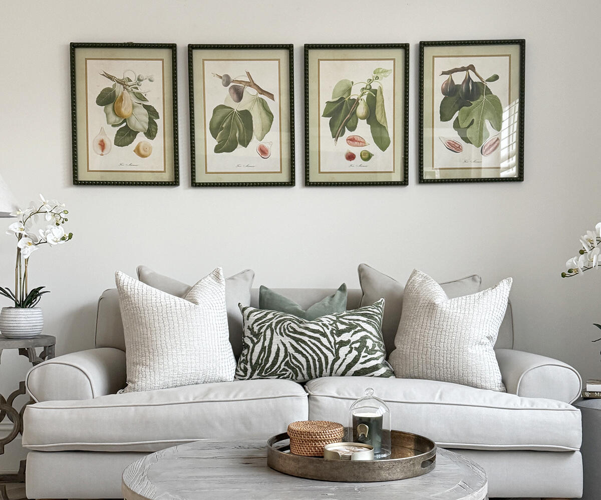 Set of 4 Framed Figs