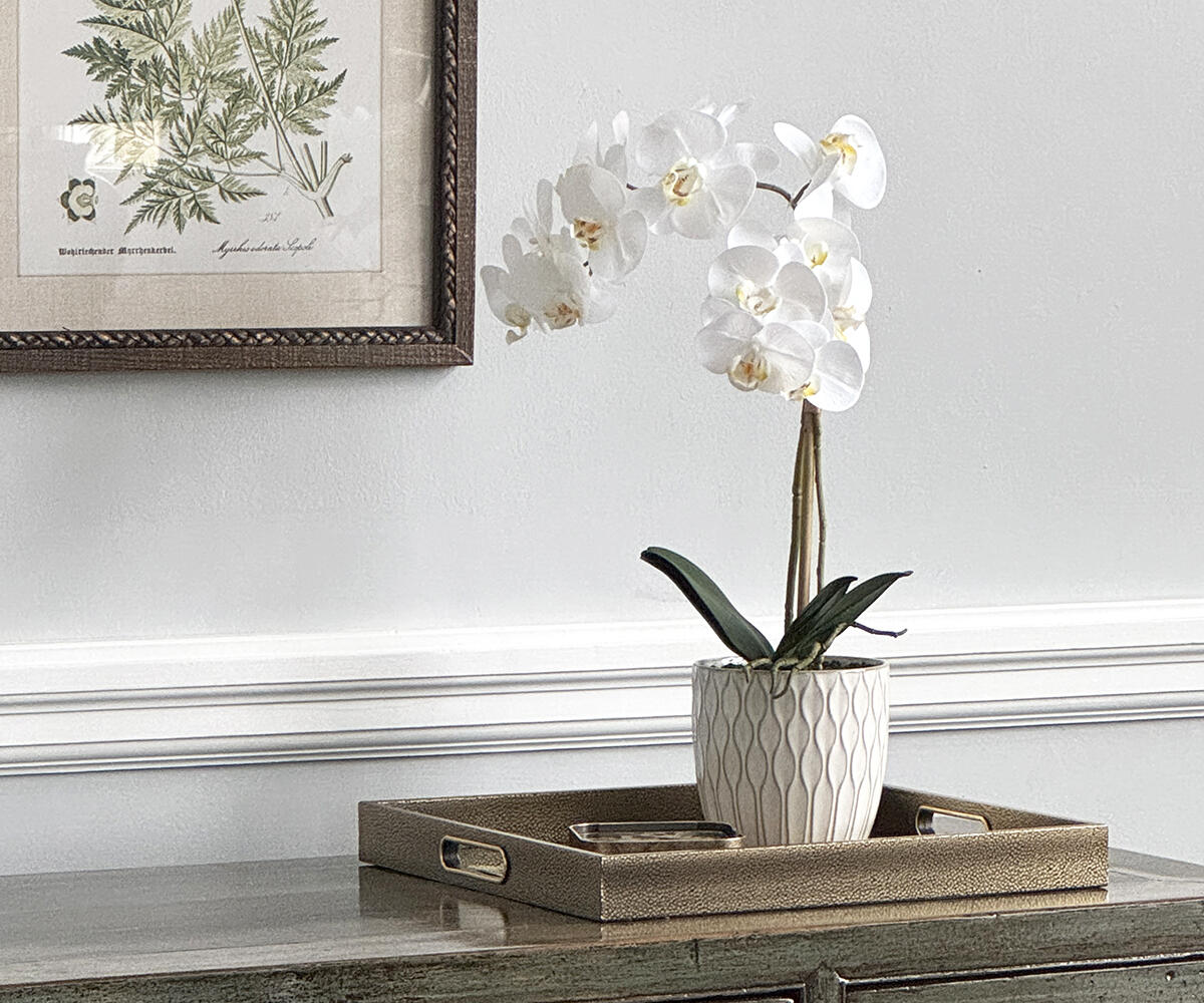 Photo 28-01-2025, 13 19 32 2 Web