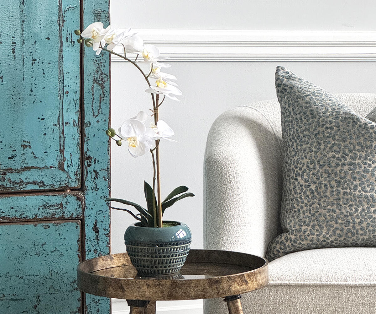 Photo 28-01-2025, 13 40 51 Web