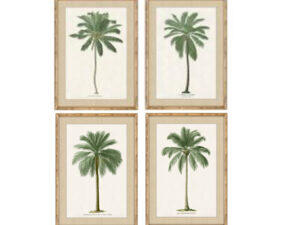 Set of 4 Framed South American Palms