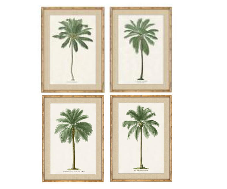 Set of 4 Framed South American Palms